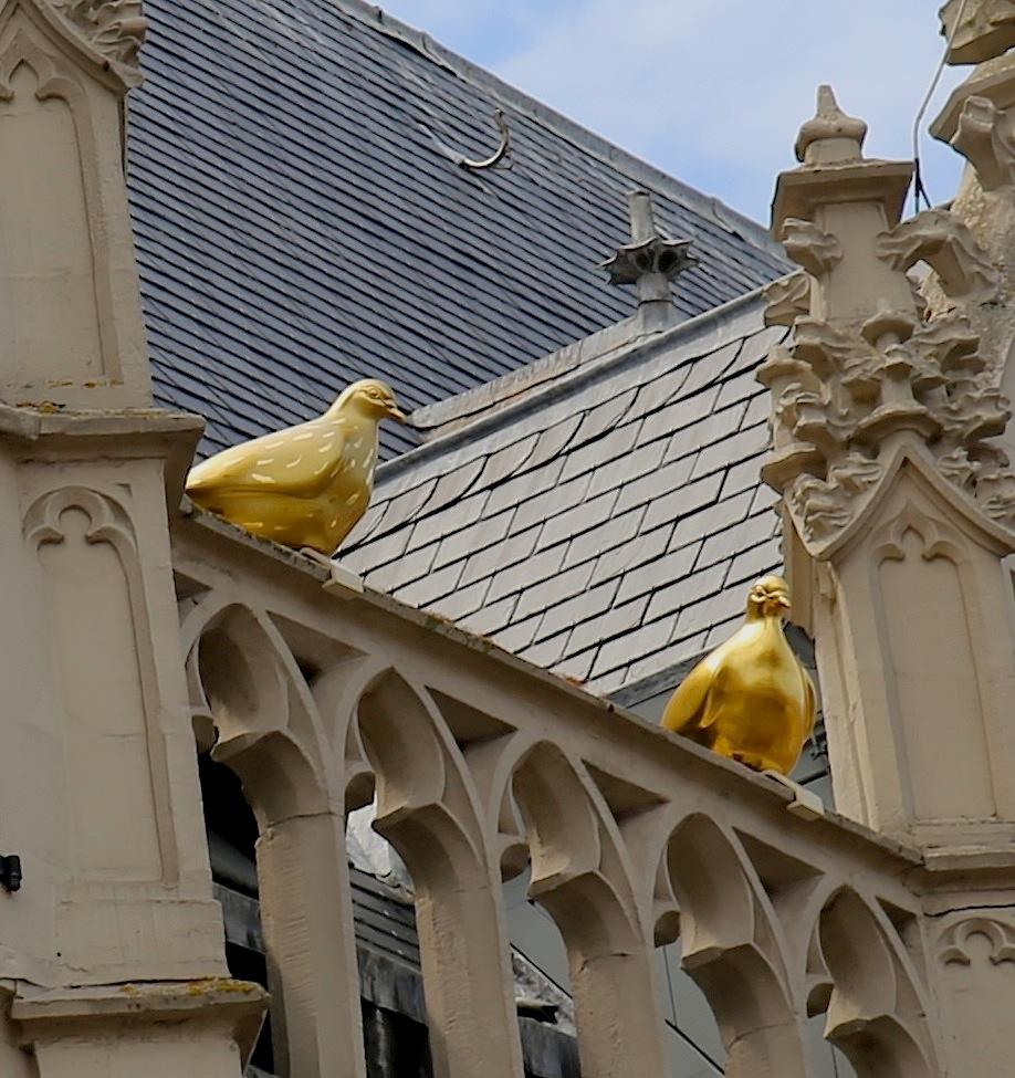 Foto Stadhuis in Alkmaar, Aussicht, Besichtigung - #3