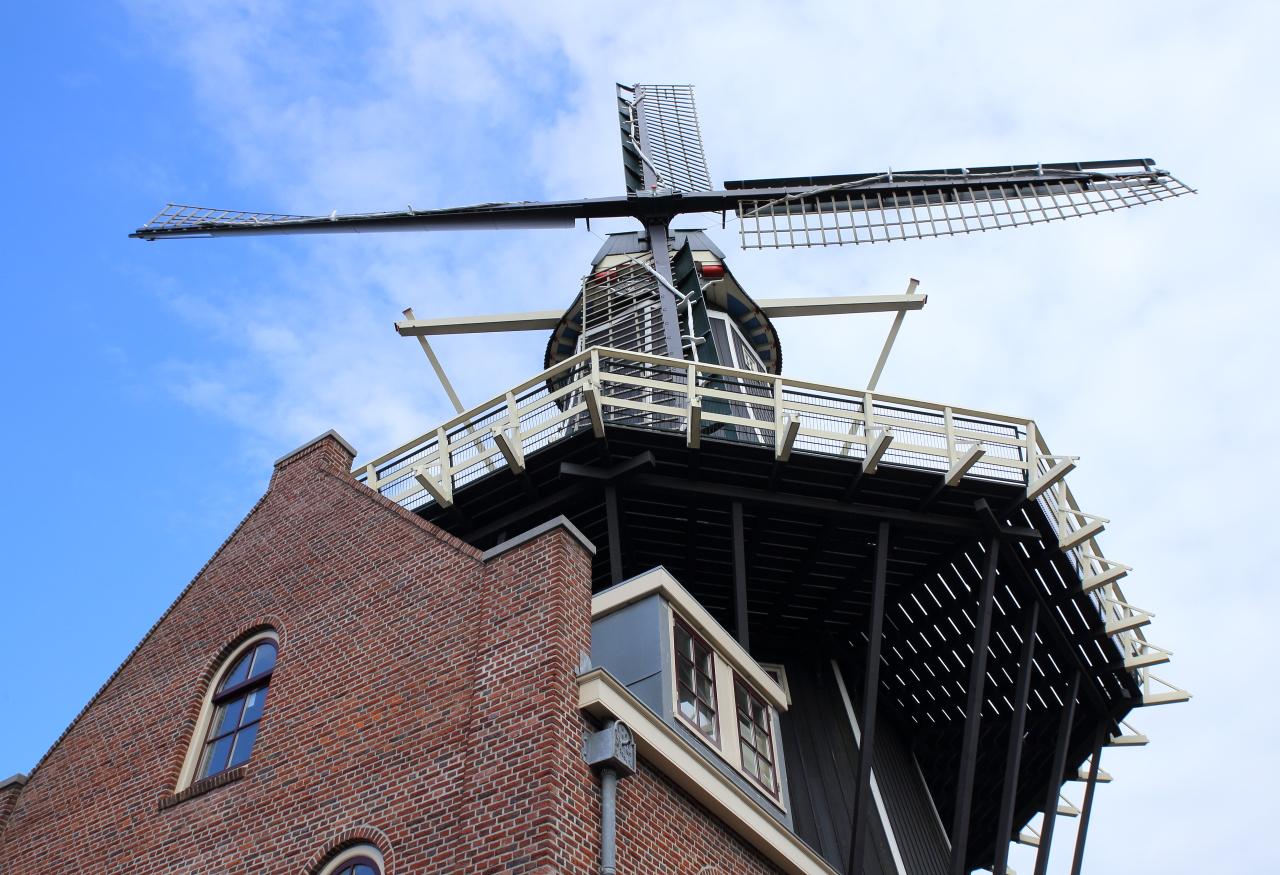 Foto Molen De Adriaan in Haarlem, Aussicht, Museen & galerien, Nachbarschaft, platz, park - #3