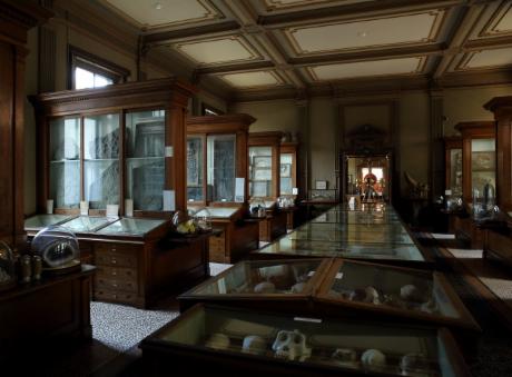 Foto Teylers Museum in Haarlem, Aussicht, Museen & galerien