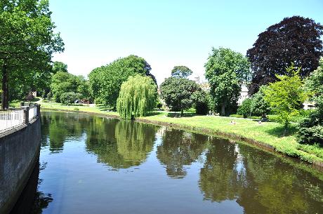 Foto Potgietersingel in Zwolle, Aussicht, Sehenswürdigkeiten & wahrzeichen, Nachbarschaft, platz, park