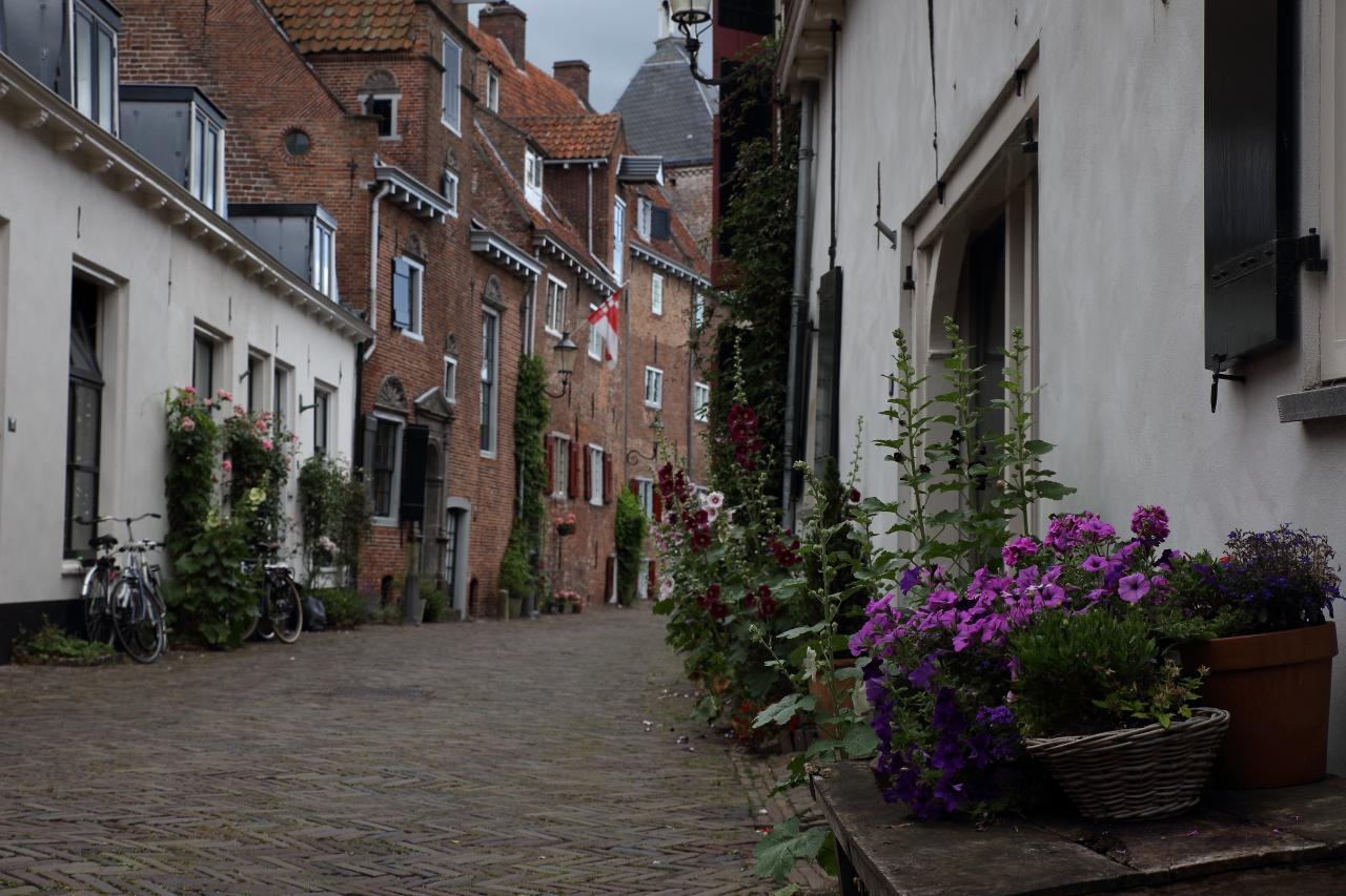 Foto Muurhuizen in Amersfoort, Aussicht, Sehenswürdigkeiten & wahrzeichen, Nachbarschaft, platz, park - #3