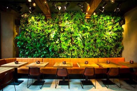 Foto Fortuyn Haarlem in Haarlem, Essen & Trinken, Genieße ein köstliches mittagessen, Viel spaß beim abendessen