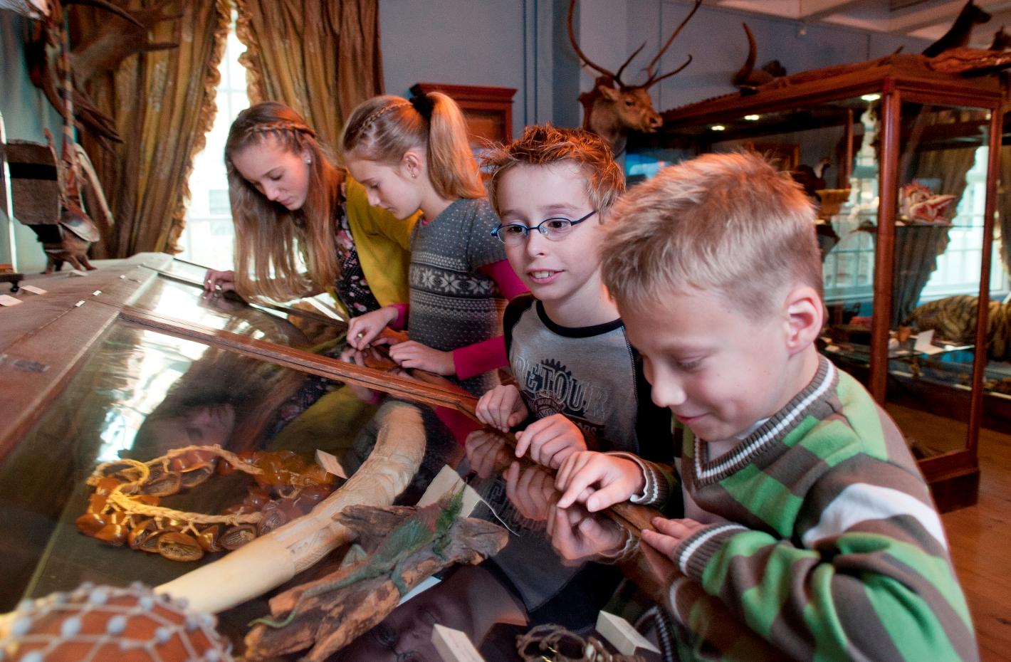 Foto Natuurmuseum Fryslân in Leeuwarden, Aussicht, Museum besuchen - #1