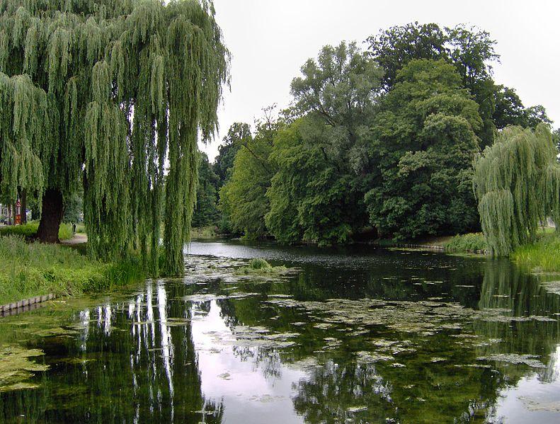 Foto Rijsterborgherpark in Deventer, Aussicht, Nachbarschaft, platz, park - #1