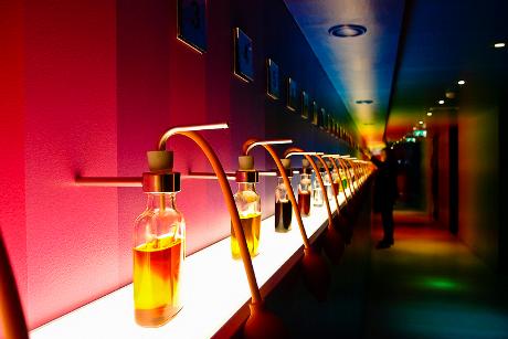 Foto House of bols in Amsterdam, Aktivität, Aktivitäten