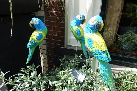 Foto Fiori Bloemen in Leiden, Einkaufen, Whonen & kochen