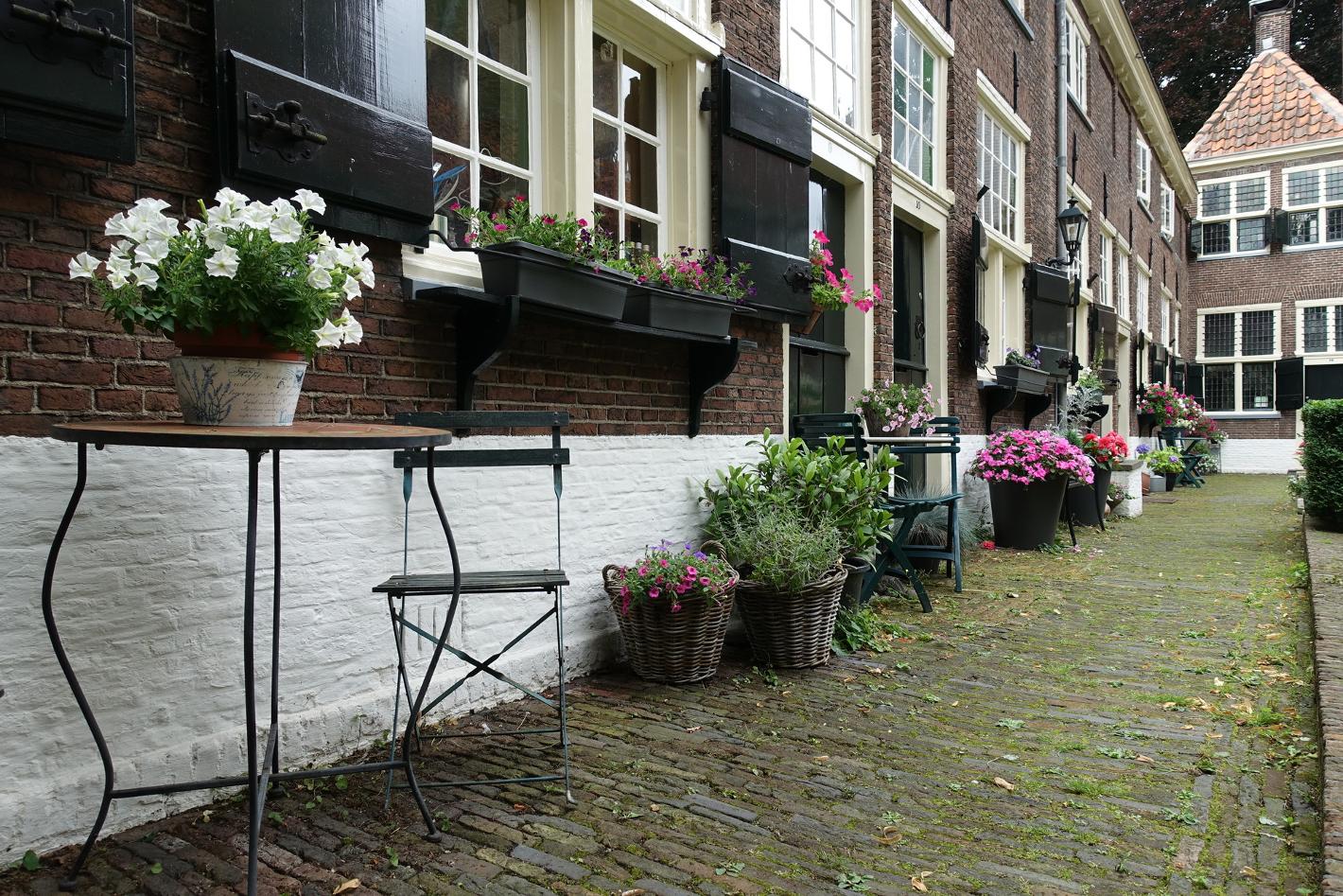 Foto Sint Annahofje in Leiden, Aussicht, Sehenswürdigkeiten & wahrzeichen - #3