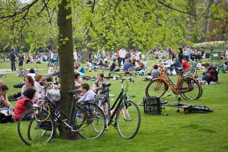 Foto Vondelpark in Amsterdam, Aussicht, Nachbarschaft, platz, park