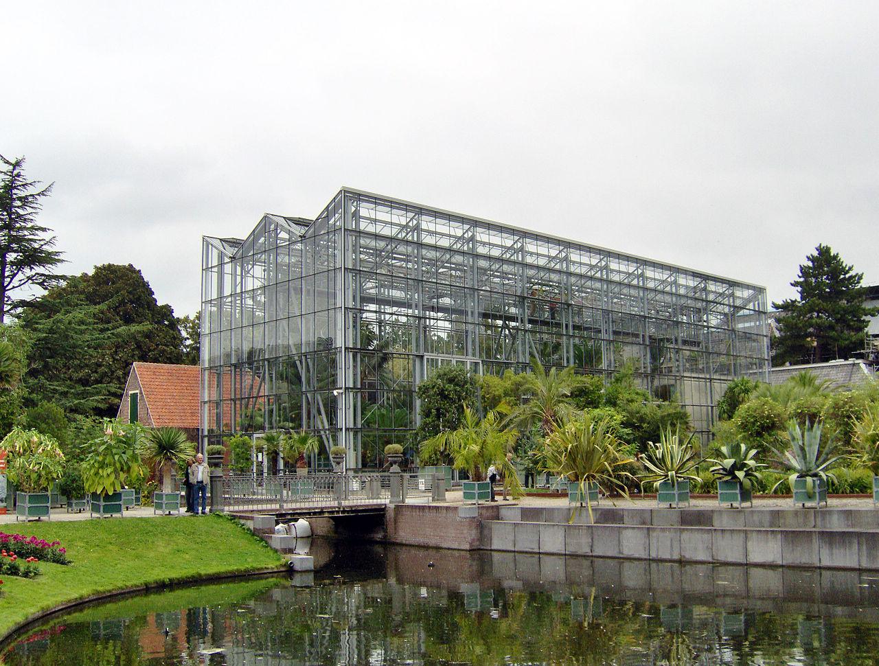 Foto Hortus Botanicus Leiden in Leiden, Aussicht, Sehenswürdigkeiten & wahrzeichen - #1