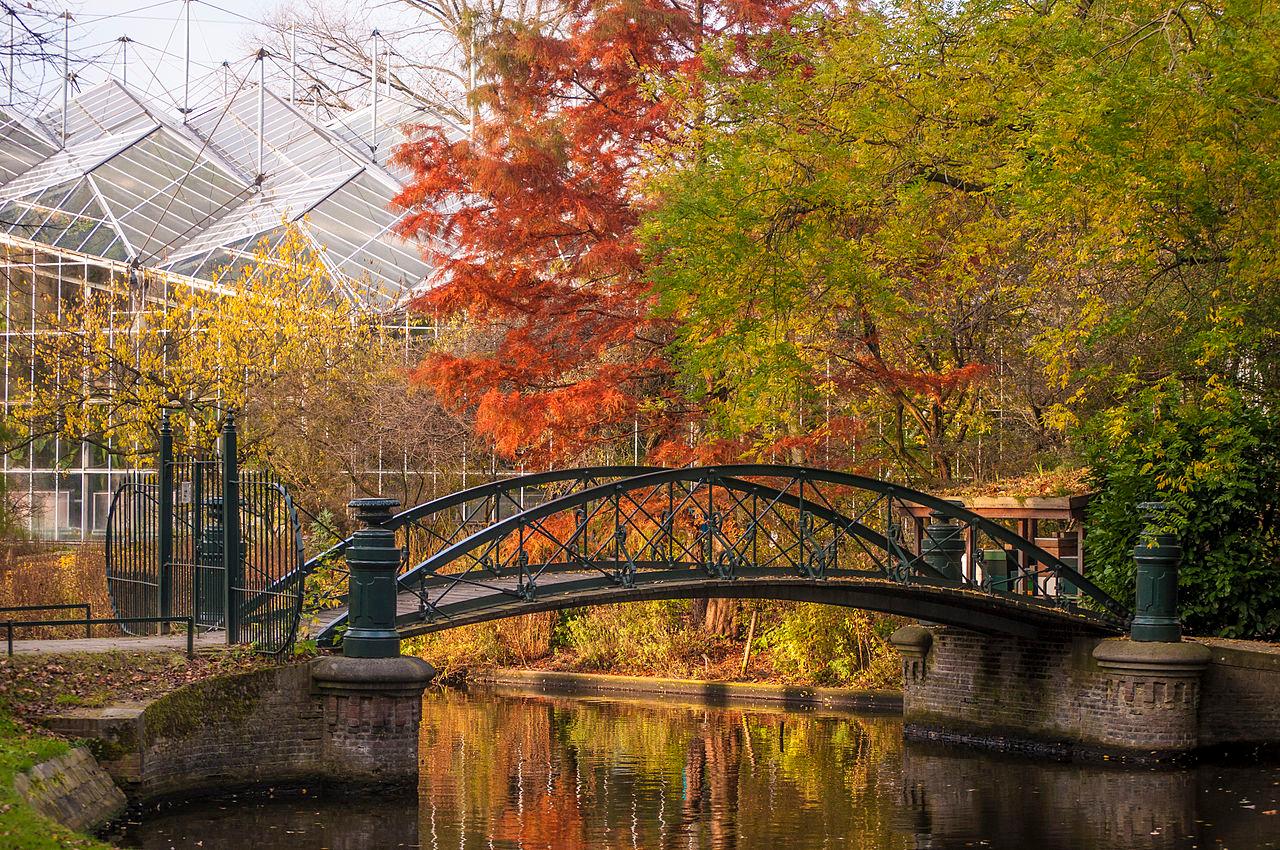 Foto Hortus Botanicus Amsterdam in Amsterdam, Aussicht, Sehenswürdigkeiten & wahrzeichen - #1