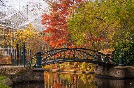 Foto Hortus Botanicus Amsterdam in Amsterdam, Aussicht, Sehenswürdigkeiten & wahrzeichen