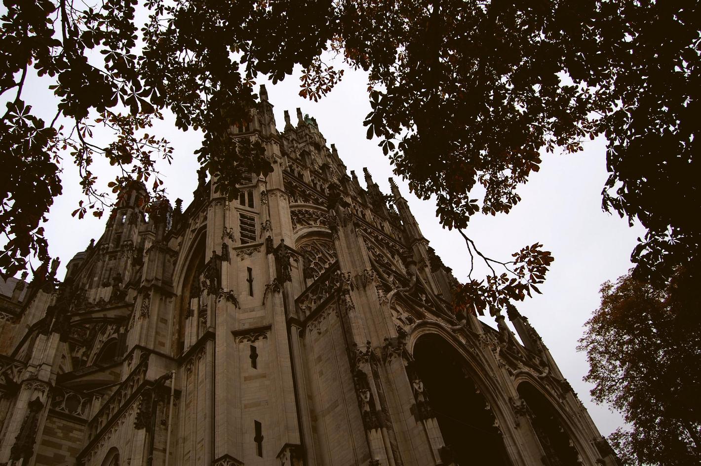 Foto Sint- Janskathedraal in Den Bosch, Aussicht, Sehenswürdigkeiten & wahrzeichen - #1