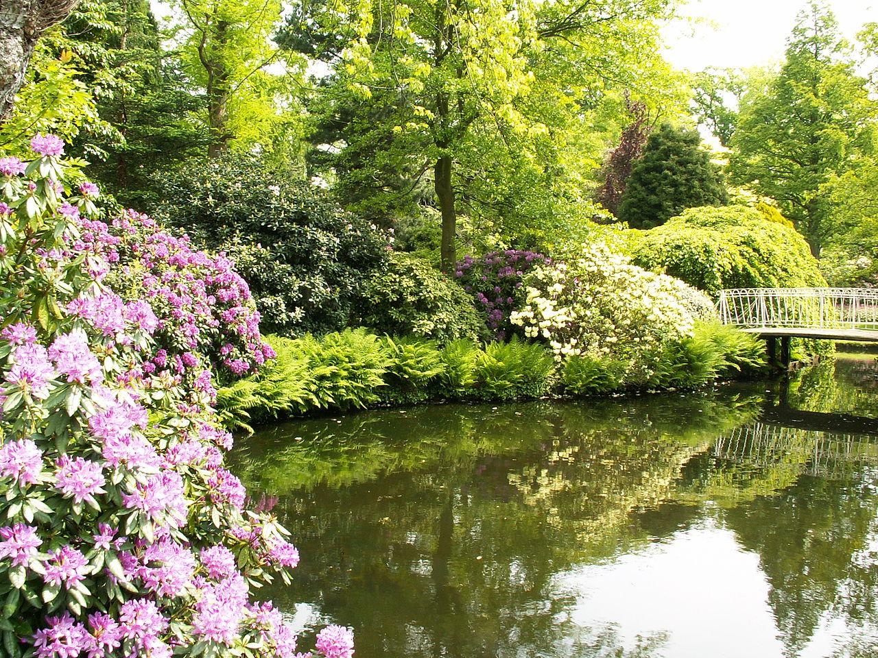 Foto Trompenburg Tuinen & Arboretum in Rotterdam, Aussicht, Sehenswürdigkeiten & wahrzeichen, Nachbarschaft, platz, park - #1