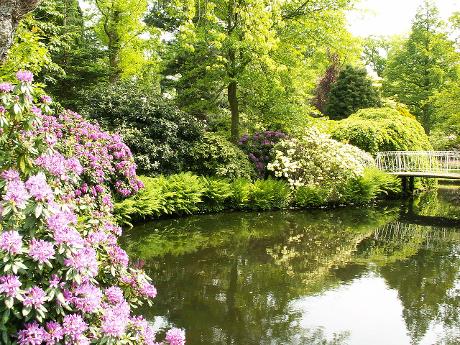 Foto Trompenburg Tuinen & Arboretum in Rotterdam, Aussicht, Sehenswürdigkeiten & wahrzeichen, Nachbarschaft, platz, park