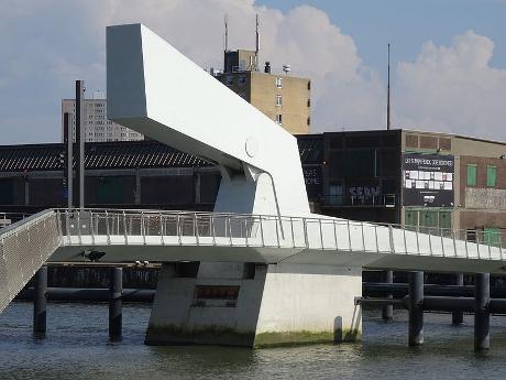 Foto Rijnhavenbrug in Rotterdam, Aussicht, Nachbarschaft, platz, park