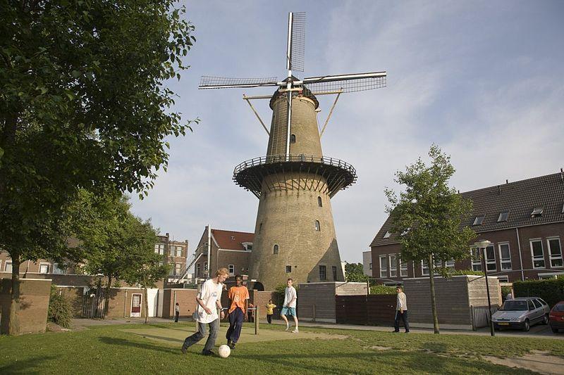 Foto Molen Kyck over den Dyck in Dordrecht, Aussicht, Sehenswürdigkeiten & wahrzeichen, Aktivitäten - #2