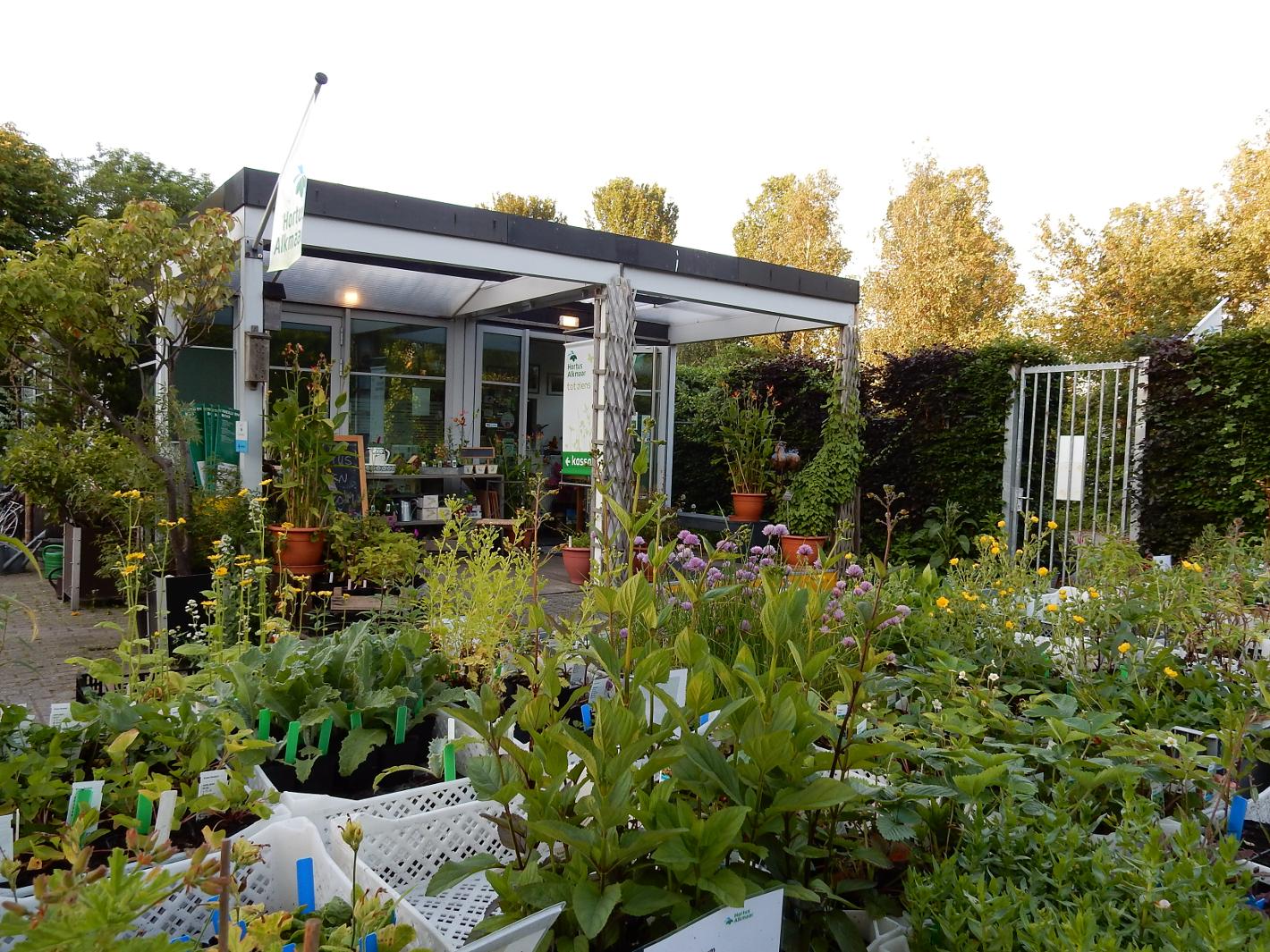 Foto Hortus Alkmaar in Alkmaar, Aussicht, Hobby, Anzeigen, Aktivität - #1
