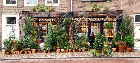 Foto PLANTaardig in Middelburg, Einkaufen, Geschenke kaufen, Hobby zeug kaufen