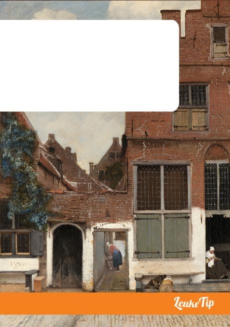 Delfter Guide in den Fußstapfen Vermeer Kunstmaler Geschichte